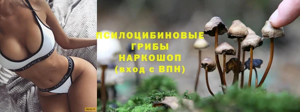 винт Михайлов