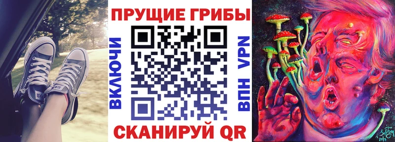 Галлюциногенные грибы Psilocybine cubensis Новокузнецк