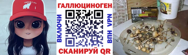 Галлюциногенные грибы GOLDEN TEACHER  Новокузнецк 