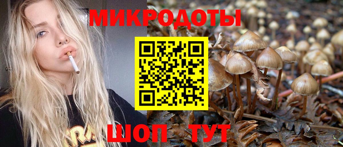Псилоцибиновые грибы мицелий Новокузнецк