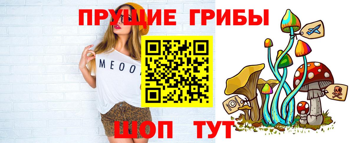 Галлюциногенные грибы Cubensis  Вход с VPN  где купить наркоту  Новокузнецк 